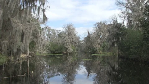 Wide swamp approach2 Stock Footage 88293123