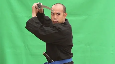 Wide Sword Draw and High En Garde Green Screen Stock Footage 10859935