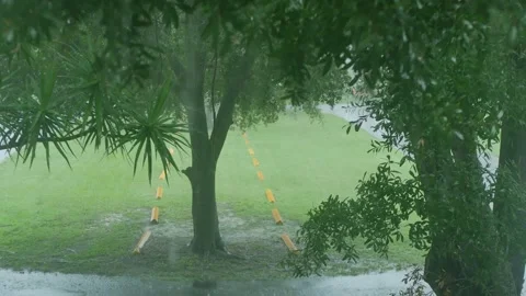 Wide  through the window of heavy wind and rain falling through green trees blow Stock Footage 284558569
