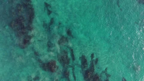 Wide Top Down Aerial View of Clear Turquoise Sea and Coastal Reef Stock Footage 344778279