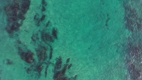 Wide Top Down Aerial View of Clear Turquoise Sea and Coastal Reef Stock Footage 344778291