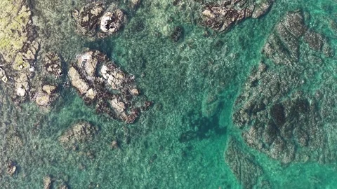Wide Top Down Aerial View of Clear Turquoise Sea and Coastal Reef Stock Footage 344778547