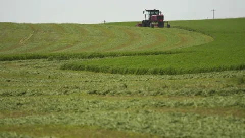 Wide Tracking of 2 Swathers Stock Footage 221862922
