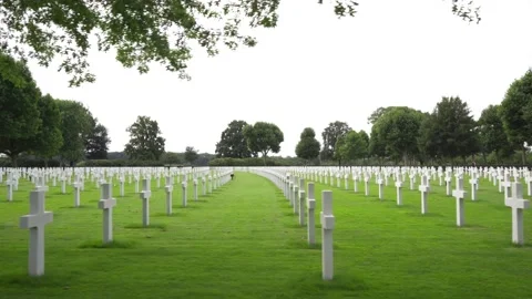 Wide tracking shot of rows of white crosses at the Netherlands American Stock-Footage 135612242