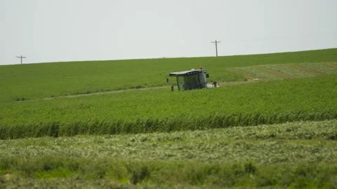 Wide Tracking of a Swather Turning Around (1) Stock-Footage 221863145
