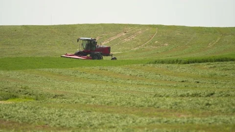 Wide Tracking of a Swather Turning Around (2) Stock Footage 221863207