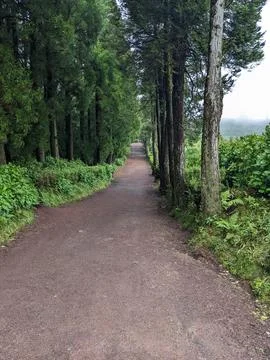 Wide Trail Stock Photos