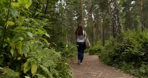 Wide trampled forest path tends to thicket of forest, traveler explore forest Stock Footage 118297252