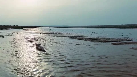 Wide tranquil river with sunlight reflection and peaceful flowing ripples Stock Footage 333493395