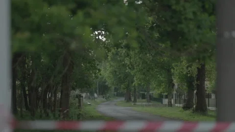Wide tree-lined road with edge markings Stockbeeldmateriaal 345717636