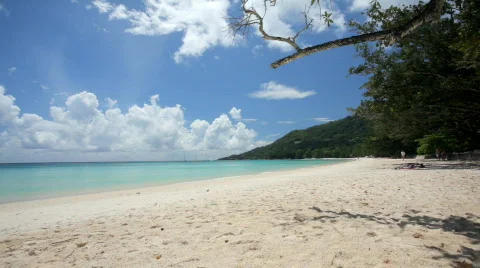 Wide tropical beach Stock Footage 473394