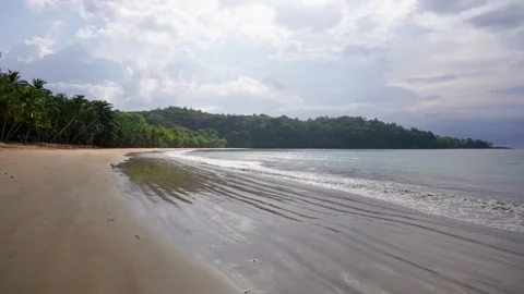 Wide Tropical Beach Stock Footage 330792140
