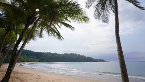 Wide Tropical Beach Stock Footage 330792145