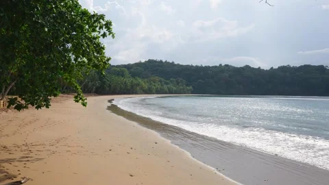 Wide Tropical Beach Stock Footage 330792164