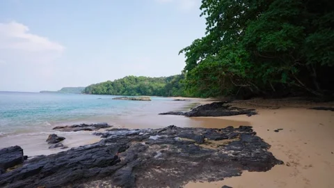 Wide Tropical Beach Stock Footage 330792168