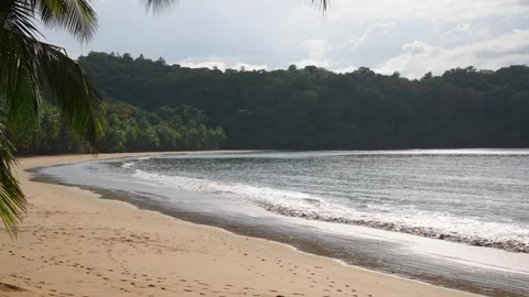 Wide Tropical Beach Stock Footage 330792169