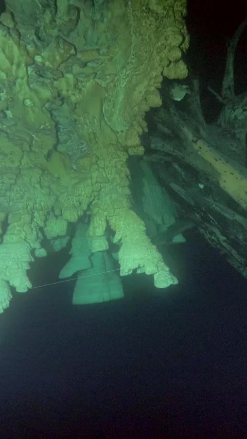 Wide underwater pass beneath clustered cenote ceiling formations Stock Footage 341396126