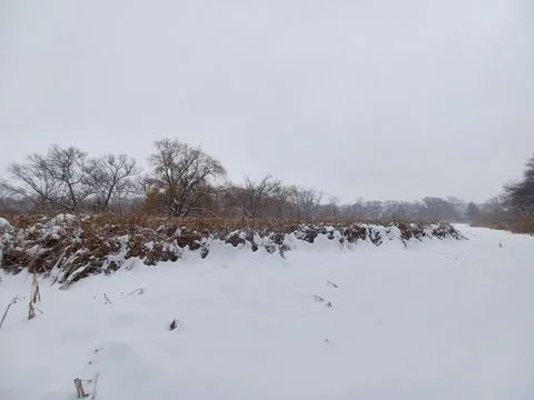 Wide valley riverbed covered in deep winter snow. Stock Photos
