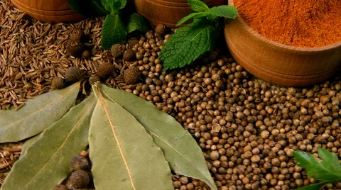A wide variety of spices. Pepper, cardamom, cloves, cumin, cilantro, coriande Stock Footage