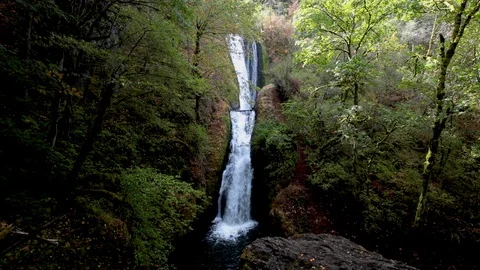 Wide view of a 2-tiered waterfall in a lush pacific northwe Stock Footage 100245727