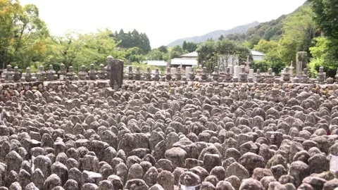 Wide view across the vast field of weathered stone Buddhist memorial figures at 库存影片 345227659
