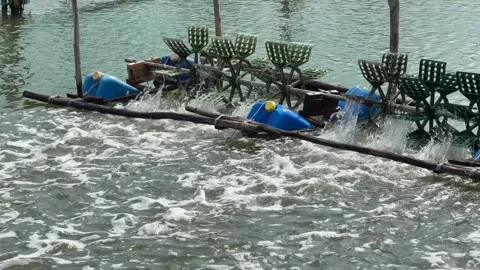 Wide view of aerator floats turning across the pond with smooth waves spreading Stock Footage 323981053