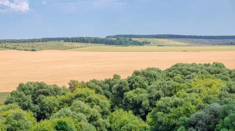 A wide view of an agricultural field with trees and a small rural house. Stock Photos