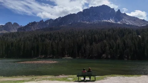 Wide View of Alpine Lake Bordered by Dense Coniferous Forest Video stock 341377834