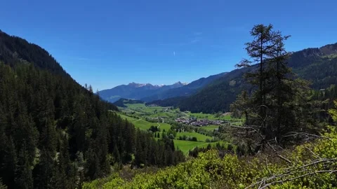 Wide View of Alpine Valley Framed by Forest Foliage in Bright Sunlight Vídeo Stock 343813733