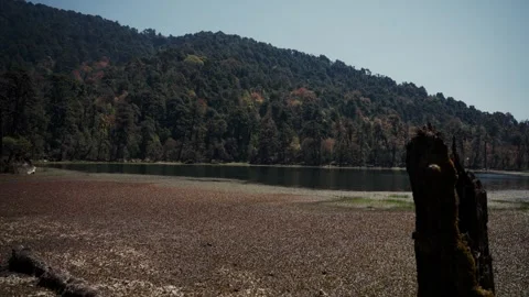 Wide view of autumn colored forested mountain slope beside a calm lake with Stock Footage 343141583