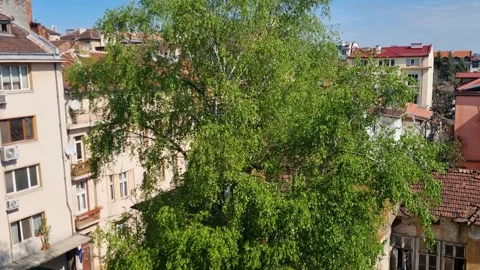 Wide view of a backyard in Sofia’s Serdika district, Bulgaria, sunny day Stock Footage 328072404