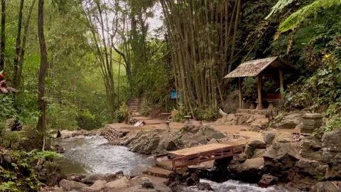 Wide View Of Bamboo Forest Stream And Wooden Bridge In Bali Stock Footage 342194963