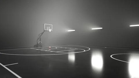 20+ Basketball Court With Lights