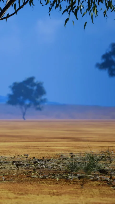 Wide view of brown land with single tree under blue sky at daytime Stock Footage 336583954