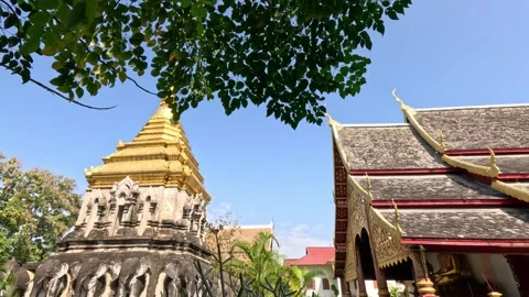 Wide view of Buddhist temples with golden Buddha and elephant sculptures in Stock Footage 339893781