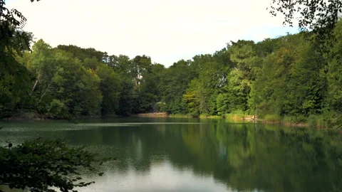 Wide view of calm emerald lake with green forest reflections Stock Footage 346539676
