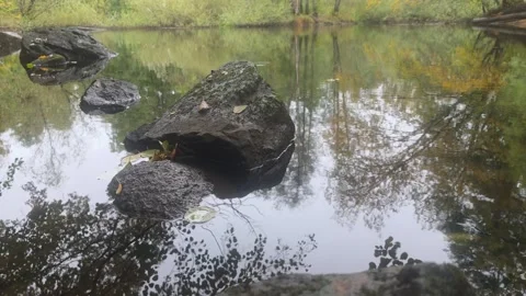 Wide View Of Calm Forest River With Scattered Large Dark Rocks Stock Footage 348063221