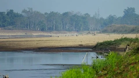 Wide view of calm river and dry riverbank landscape Stock Footage 327515244