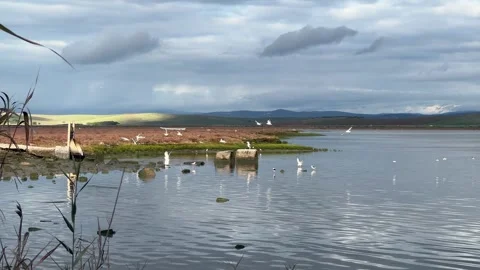 Wide view of a calm river with a beautiful blue sky Vídeo Stock 331003310