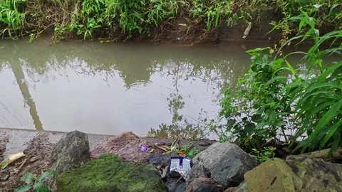 Wide view of calm roadside water body in village with surrounding vegetatio.. Stock Footage 337041601