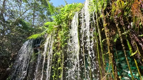 Wide view of cascading mini waterfall streams over green vines in Thailand park Video stock 339887345