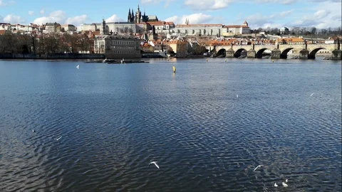 Wide view of Charles Bridge and Castle in Prague,seagulls bird fly,czech symbol Stock Footage 125797282