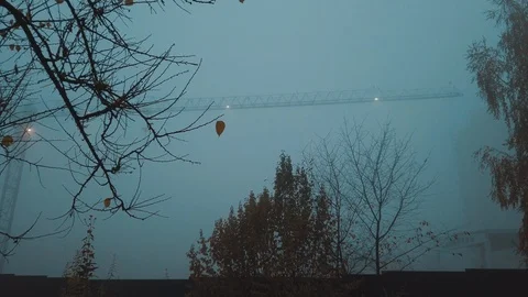 Wide view on construction crane in the fog. Trees without leafs in the foregroun Stock Footage 122408006