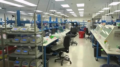 Wide view of a crime laboratory testing DNA samples from criminal cases Video stock 345299125