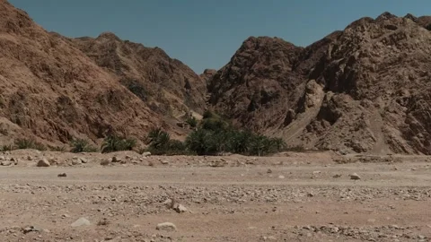 Wide view of desert oasis with distant palm grove surrounded by arid mountains 库存影片 346247704