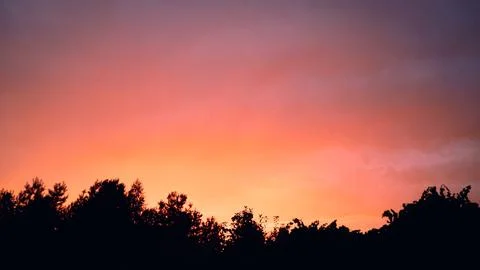 Wide view of a dramatic pink and orange sunset sky with clouds above dark pin Stock Photos