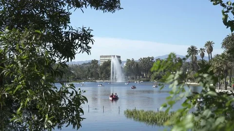 Wide view of Echo Park Lake with fountain and pedal boats framed by trees Video stock 75881975