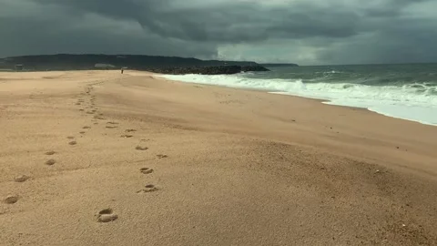 Wide view of an empty sandy beach stretching along the Atlantic coast Vidéo 343131618