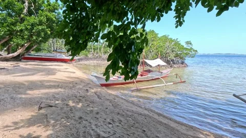 Wide view of empty tropical beach with boats and mangroves in the Philippines Stock Footage 339961871