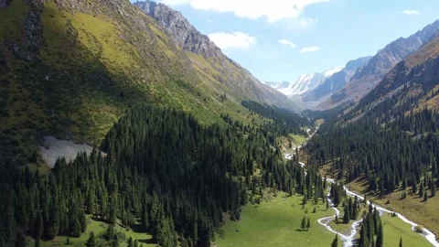 Wide view of epic mountain valley with dense spruce forest and winding river Vídeos de archivo 335647350